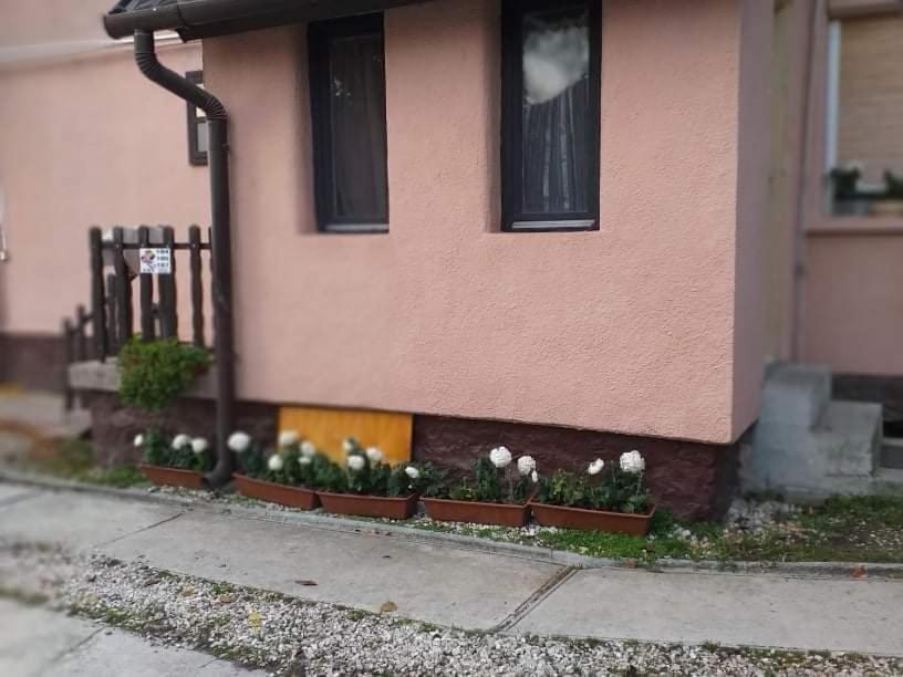 Malomtavi Tapolca